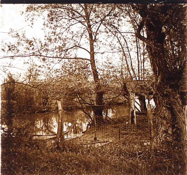 FRANCE Yerres Paysage Arbres c1920 Photo Stereo Plaque verre Vintage V25L10n5