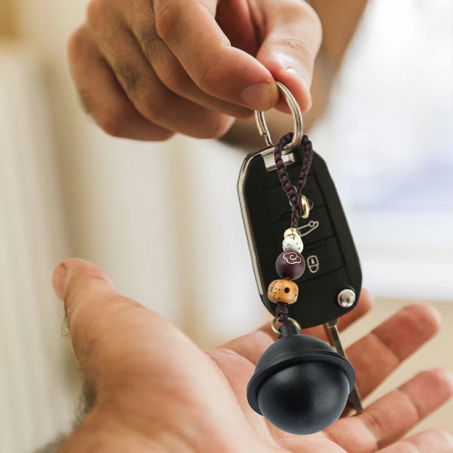 Décoration Clé Porte-clés Sac À Porte-clés En Ébène Auto