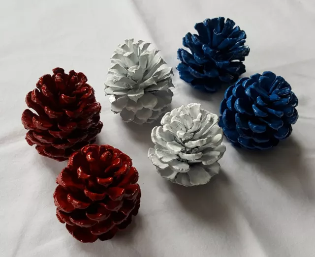 Lot of 6 Small 2.5-3 inch Patriotic Pine cones for decoration crafts etc
