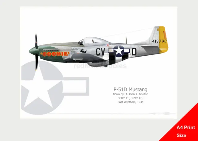 Warhead Illustrated P-51D Mustang Cookie A4 Aircraft Print