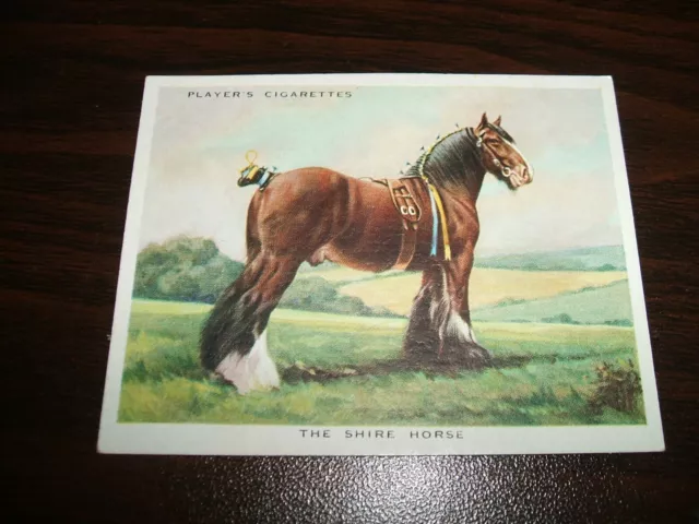 Players - Types of Horses (1939) L25 - No 3 The Shire Horse