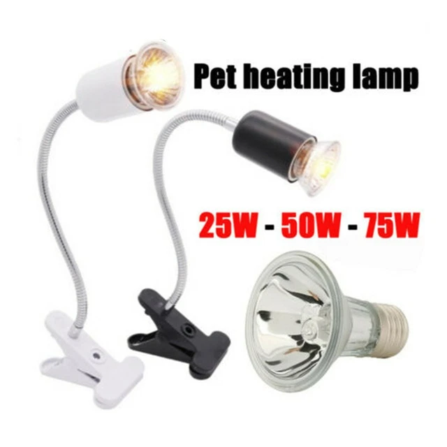 Reptile Lampe Support Lézard Pets Reptile Chauffage Lumière Tortue UV Pèlerin