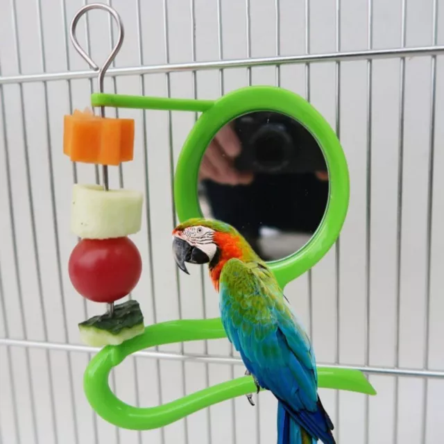 Espejo Juguete Soporte de percha Comedero para verduras Jaula para pájaros