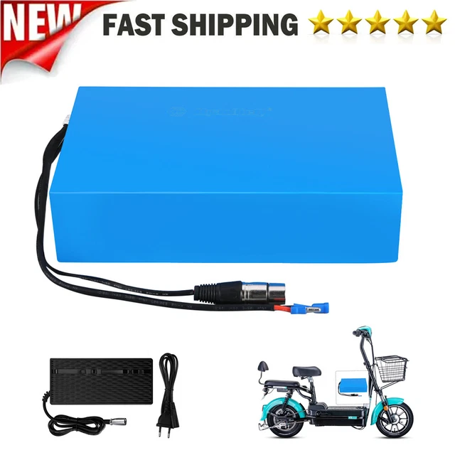 Batteria E-bike 48V 20Ah Litio Con Caricabatterie &ndash; Nuova &ndash; HANIWINNER (Blu)