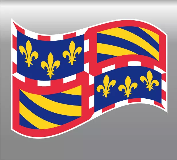 2 x  sticker drapeau région BOURGOGNE 8X10cm  vinyle autocollant