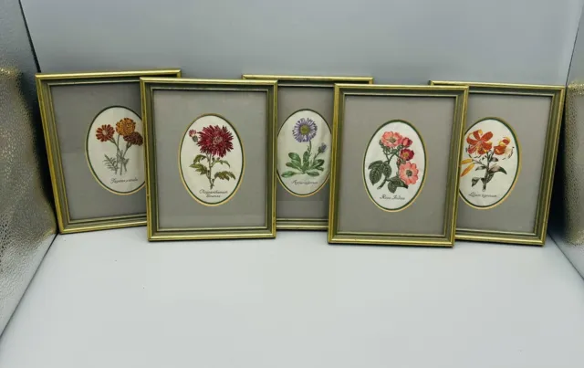 5 Vintage J&J Cash Silk Flower Pictures Taken From Maunds Botanic Garden Library