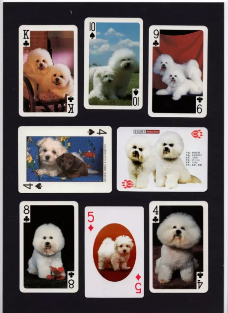 Bichon Frise Mounted Collection Of Vintage Dog Playing Cards Great Gift