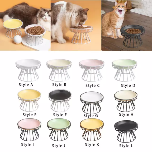 Bol d'alimentation surélevé pour chat, plat en céramique, support en fer