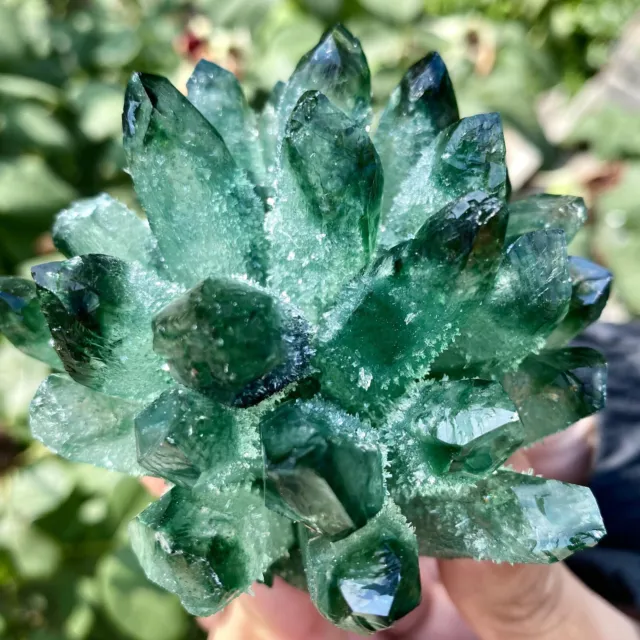 303G New Find Green Phantom Quartz Crystal Cluster Mineral Specimen Healing