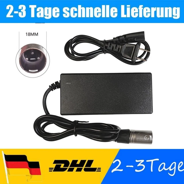 42V 3A Ladegerät Für 36V Lithium-Ionen Akku – Mit 5,5×2,5mm/2,1mm Stecker, Inkl. LED-Anzeige