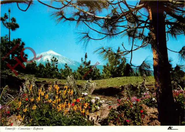 Picture Postcard::Tenerife, Mount Teide