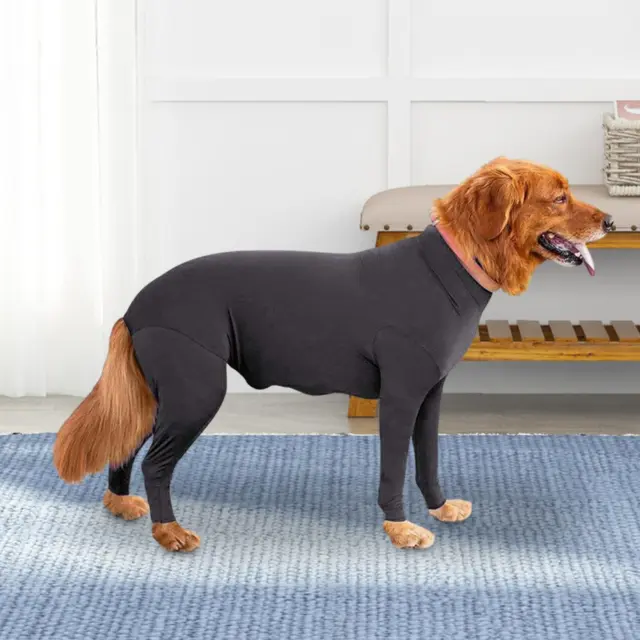 Chemise pour chien, vêtement pour chien de taille moyenne et grande, à