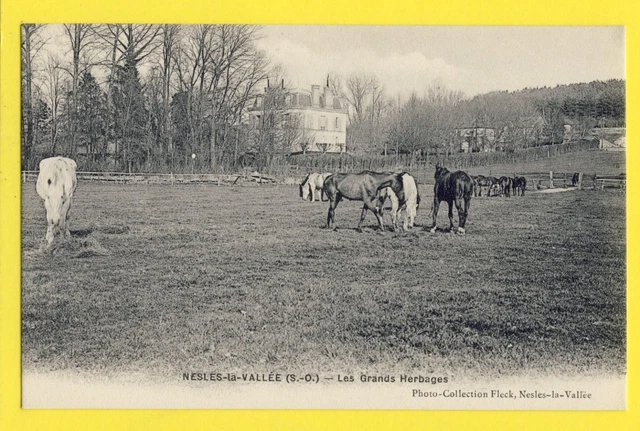 cpa Fleck NESLES la VALLEE (Val d'Oise) Les Grands HERBAGES HORSE BREEDING