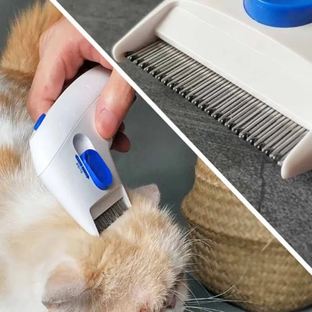 Electric Dog Cat Pet Brush Professional Comb Anti Flea Head Lice Removal Pet US 4