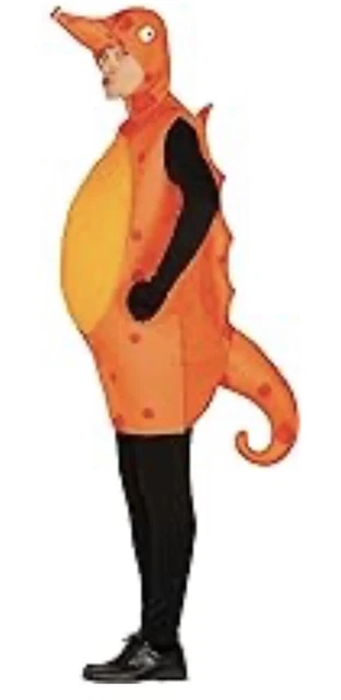 Costume Cavalluccio Marino Taglia L