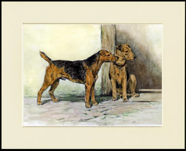 Welsh Terrier Two Dogs Great Dog Print Mounted Ready To Frame