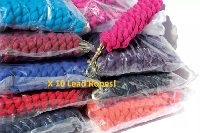 Twin / Plain Coloured 2m Leadrope/Lead Rope - Pack of 10 - New - Job lot offer!