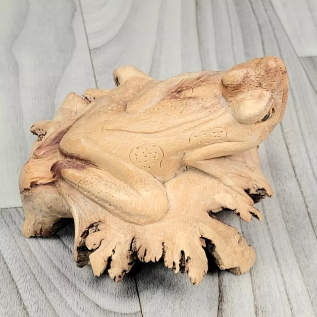 HAND CARVED Wood BURL FROG Indonesian unusual Chinaberry Wood 3.5"H