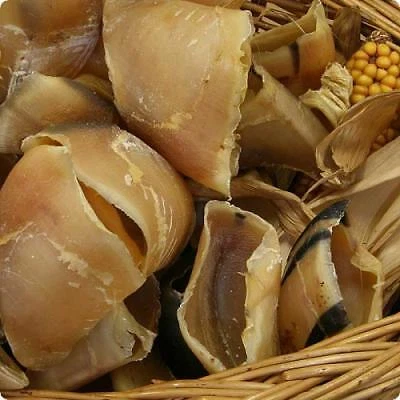 Kalbshufe