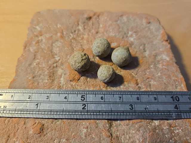 ENGLISH CIVIL WAR Lead Musket/pistol Ball Shot. Please Read Description ...