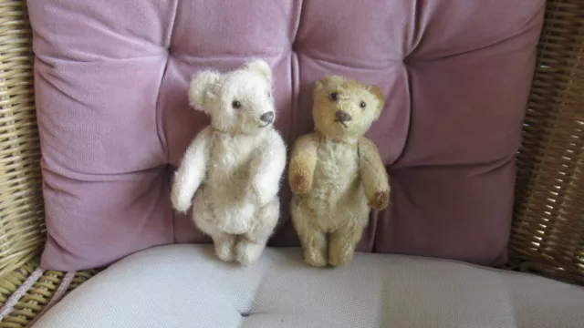 Steiff Teddys 40/50 Jahre Vintage