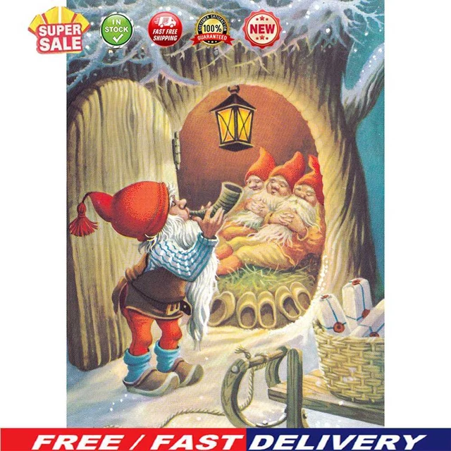 (DB0725) 5D Kit de Cuadros de Estrás Duende Cuadrado Diamante Pintura (A469)