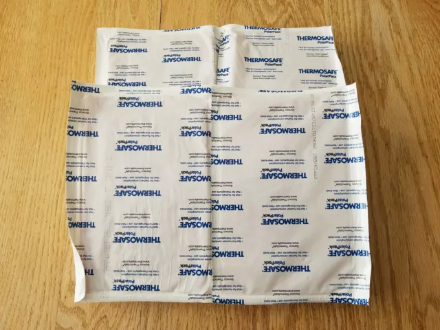 ThermoSafe Polar Pack Foam Brick Freezer Cold Ice Packs (9x6x1) Lot of 4