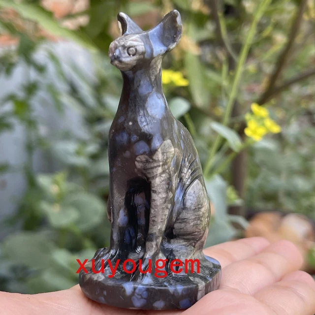 1pcs Natural Rhyolite Hairless cat Quartz Crystal Skull Carved Figurines 3"