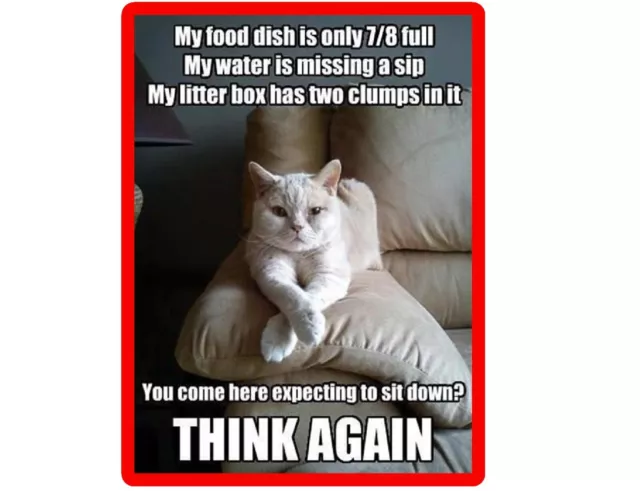 Funny  Humor Cat Think Again  Refrigerator / Tool Box / File Cabinet Magnet
