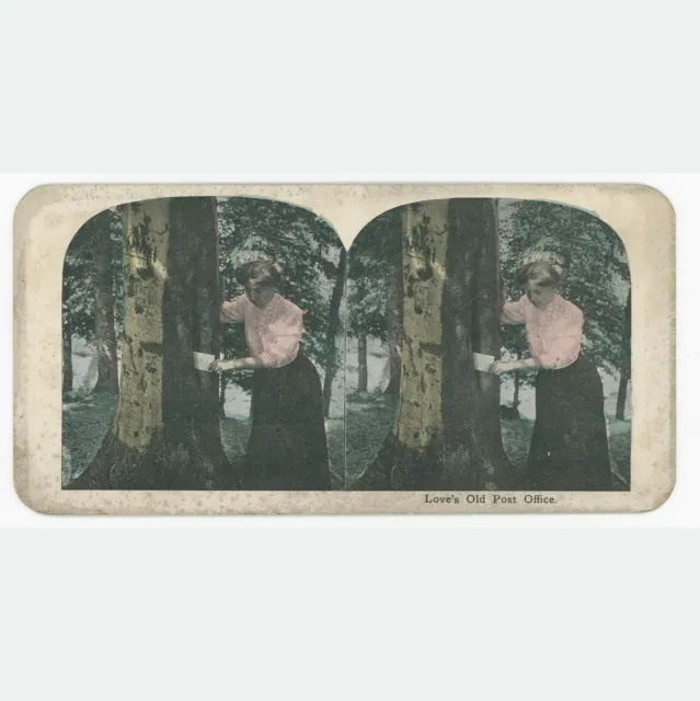 Stereoscope Stereo View Card Loves Old Post Office Mail Hidden In A Tree