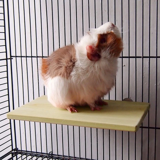 Perchas jaula de cacatúas de madera para pájaros soporte plataforma periquito mascota juguete K0H7