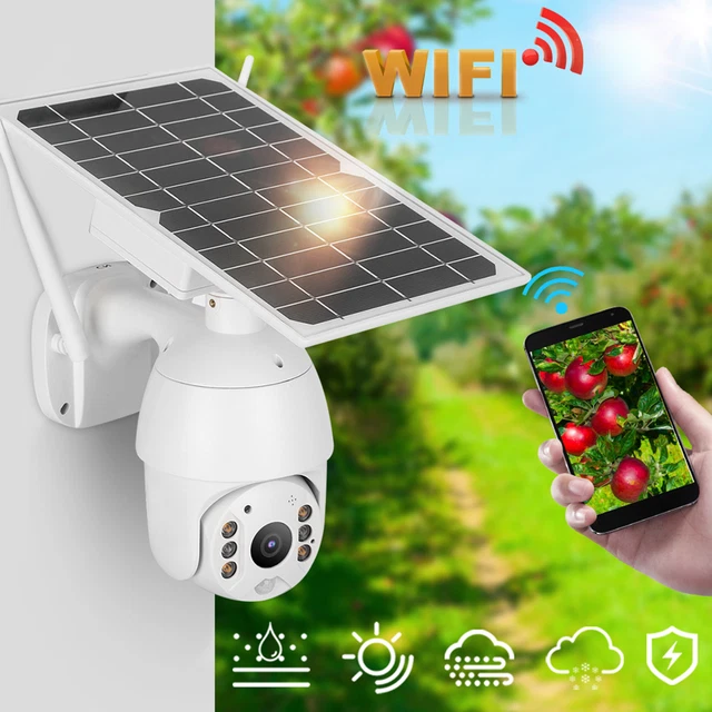 Mangiatoia per uccelli con telecamera a energia solare, AI identifica