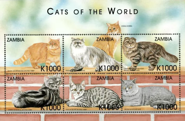 Zambia 1999 - Cats of The World #2 - Sheet of 6 - Scott 801 - MNH