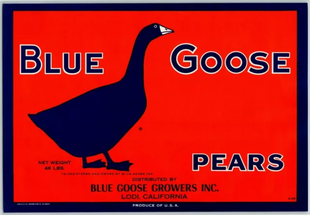 Blue Goose Pears Vintage Original Paper Fruit Crate Label Lodi, CA