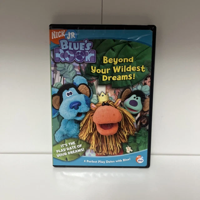 BLUE'S ROOM BEYOND Your Wildest Dreams! DVD Good Condition DVD