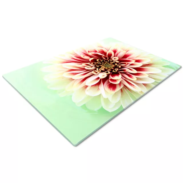 Glass Chopping Cutting Board Work Top Saver Large Red Green Flowers Nature