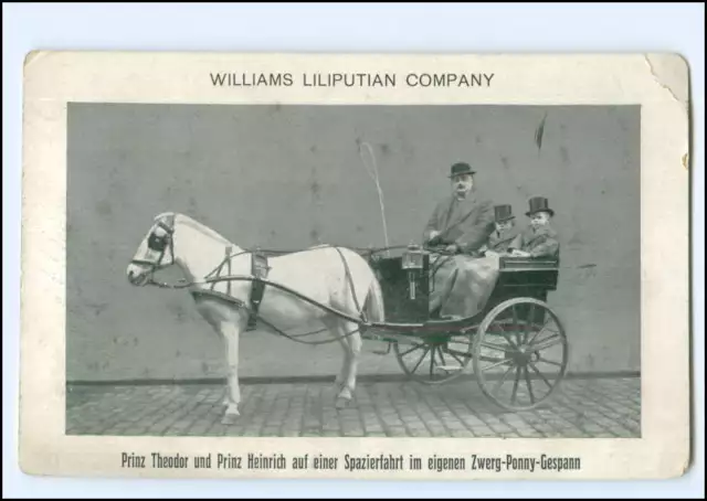 Y20072/ William Liliputian Comp. Prince Theodore + Heinrich Liliputaner carriage postcard