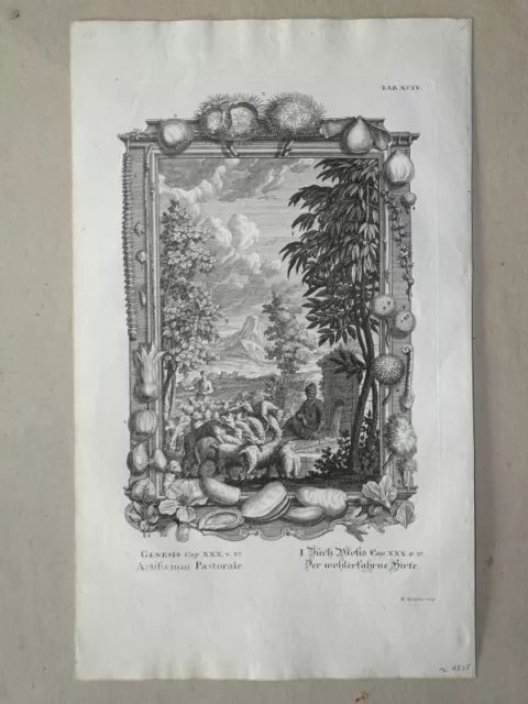 Jakobs Reichtumg Hirte B. Moses Scheuchzer Bibel Physica Sacra Kupferstich 1735
