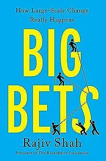 Big Bets: How Large-Scale Change Really Happens ... | Book | condition very good