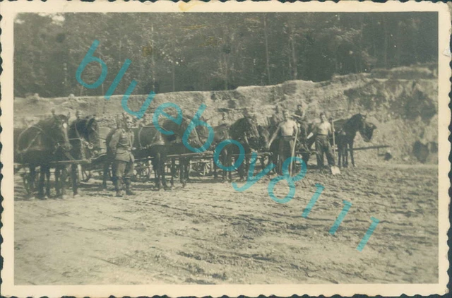 WW2 BRITISH PRISONERS of War POW's Men With Plough Horses Stalag 21 ...