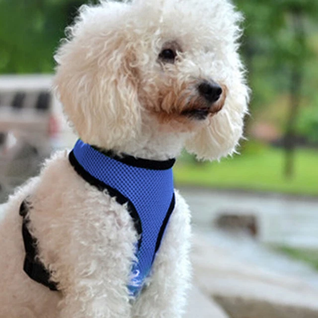 Abbigliamento gilet in rete imbracatura collare gatto cane riflettente per addestramento (blu scuro M)