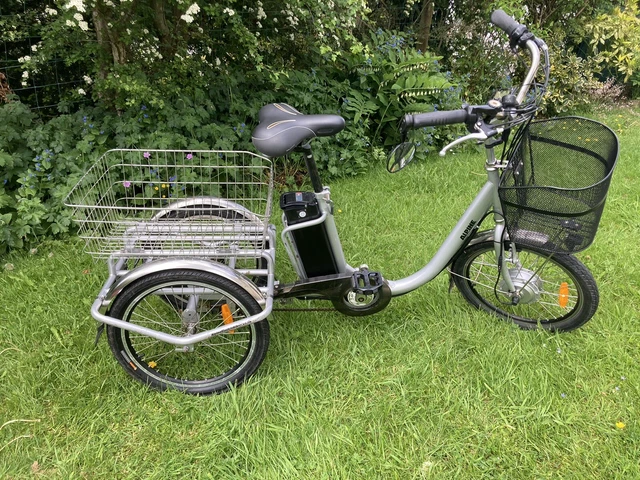Alpine electric shop tilt trike