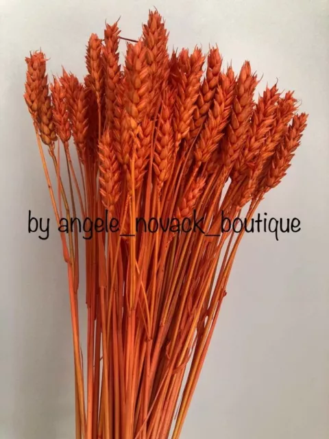 85 Stems Dried Wheat Bunch Flowers Arranging Wedding Party Decoration Orange 18"