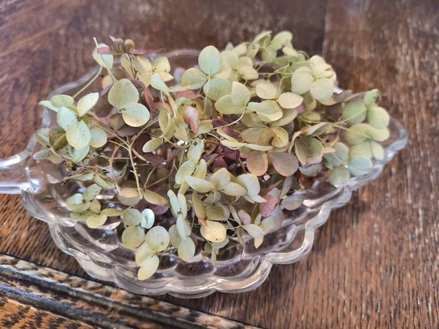 Mezcla surtida de flores de hortensia secas rústicas - aproximadamente 3 gramos