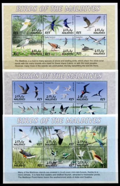 Malediven Maldive 2002 Vögel Birds Uccelli Oiseaux 3905-3928 Block 511-514 MNH