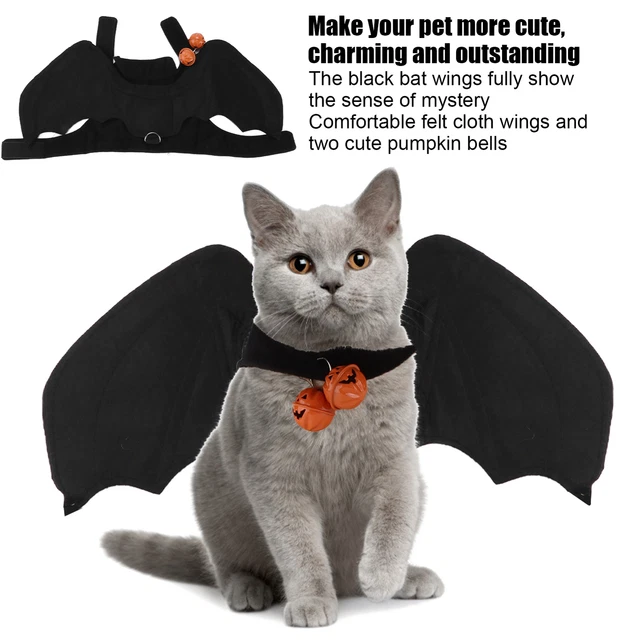 Pet Cat Bat Wings Costume Pet Dog Ruolo Giocare Bat Pet Costume Per Hallowee DB3