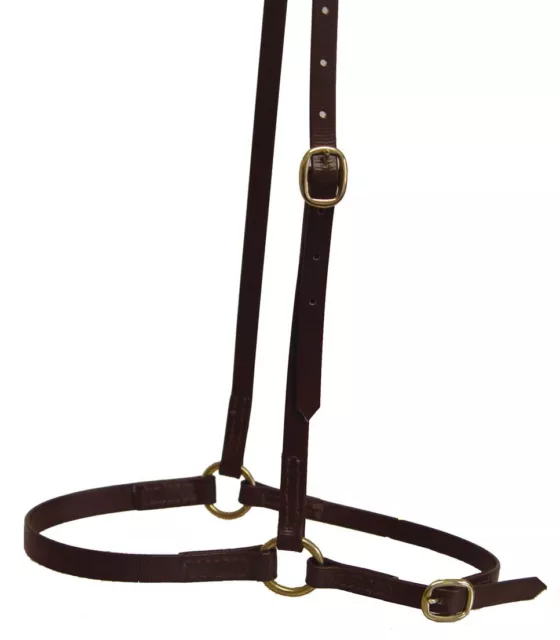 Horse Drop Noseband Gallop Hack & General Purpose Riding Nickel Fittings