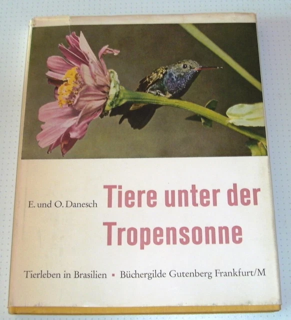 TIERE UNTER DER Tropensonne - Tierleben in Brasilien - 1956 EUR 3,00 ... TIERE UNTER DER Tropensonne - Tierleben in Brasilien - 1956 EUR 3,00 ...