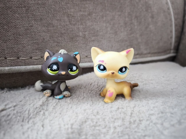 PETSHOP PET SHOP chat europeen BABY cat GRIS yeux vert EUR 3,56 - FR