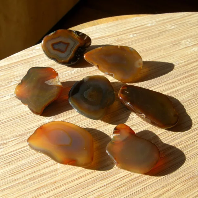 7 Mini Geode Ends Small Mixed Rock Slices Cut and Polished Brown Agate Crystals